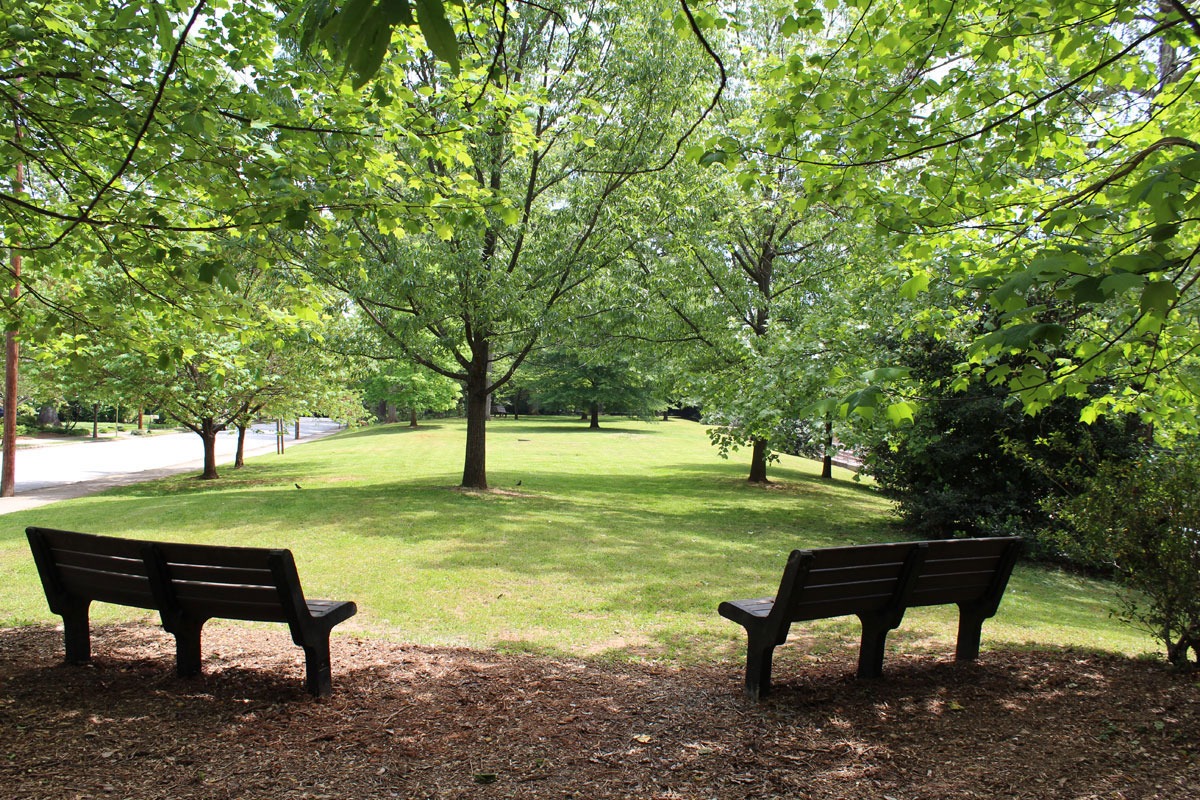 two park benches look out to small pocket park, Sycamore Park