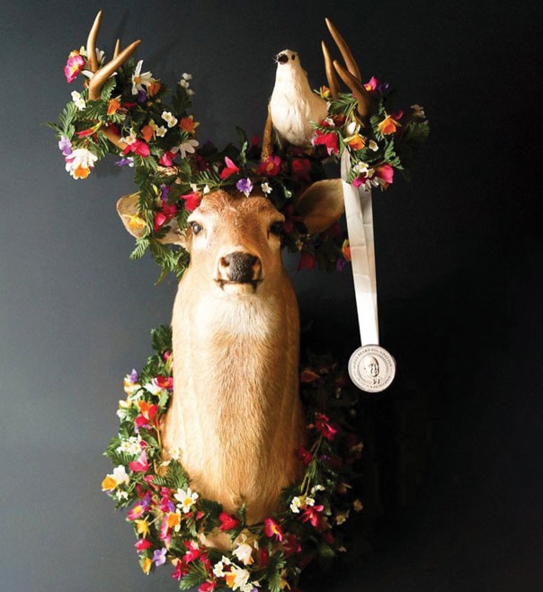 mounted deer head with dove sitting in antlers and James Beard award hanging down