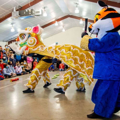 dragon dance at Lunar New Year celebration