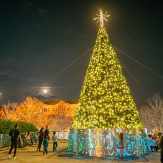 Tree Lighting on downtown plaza