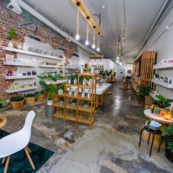 interior of skincare shop Olive Branch