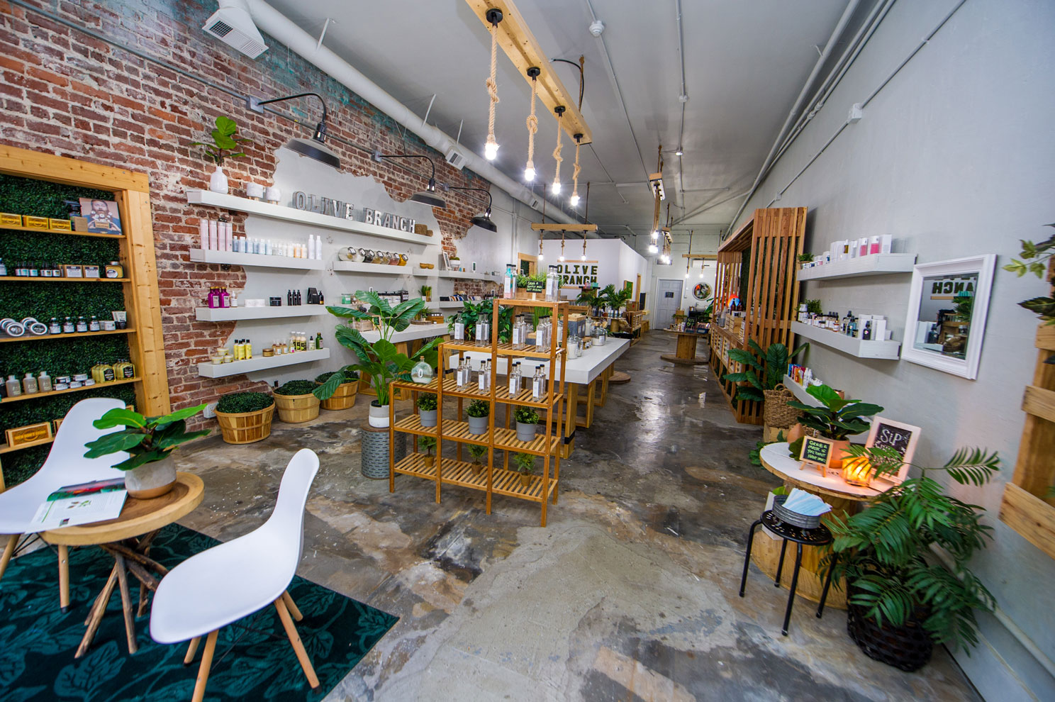 interior of skincare shop Olive Branch