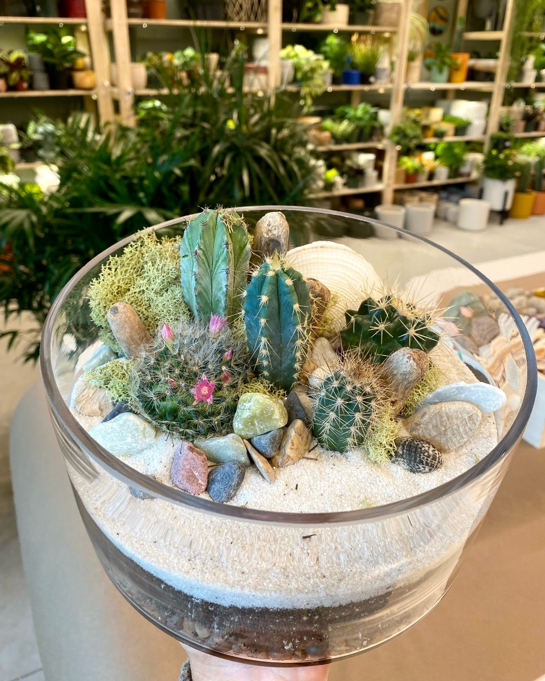 Terrarium at Plant House