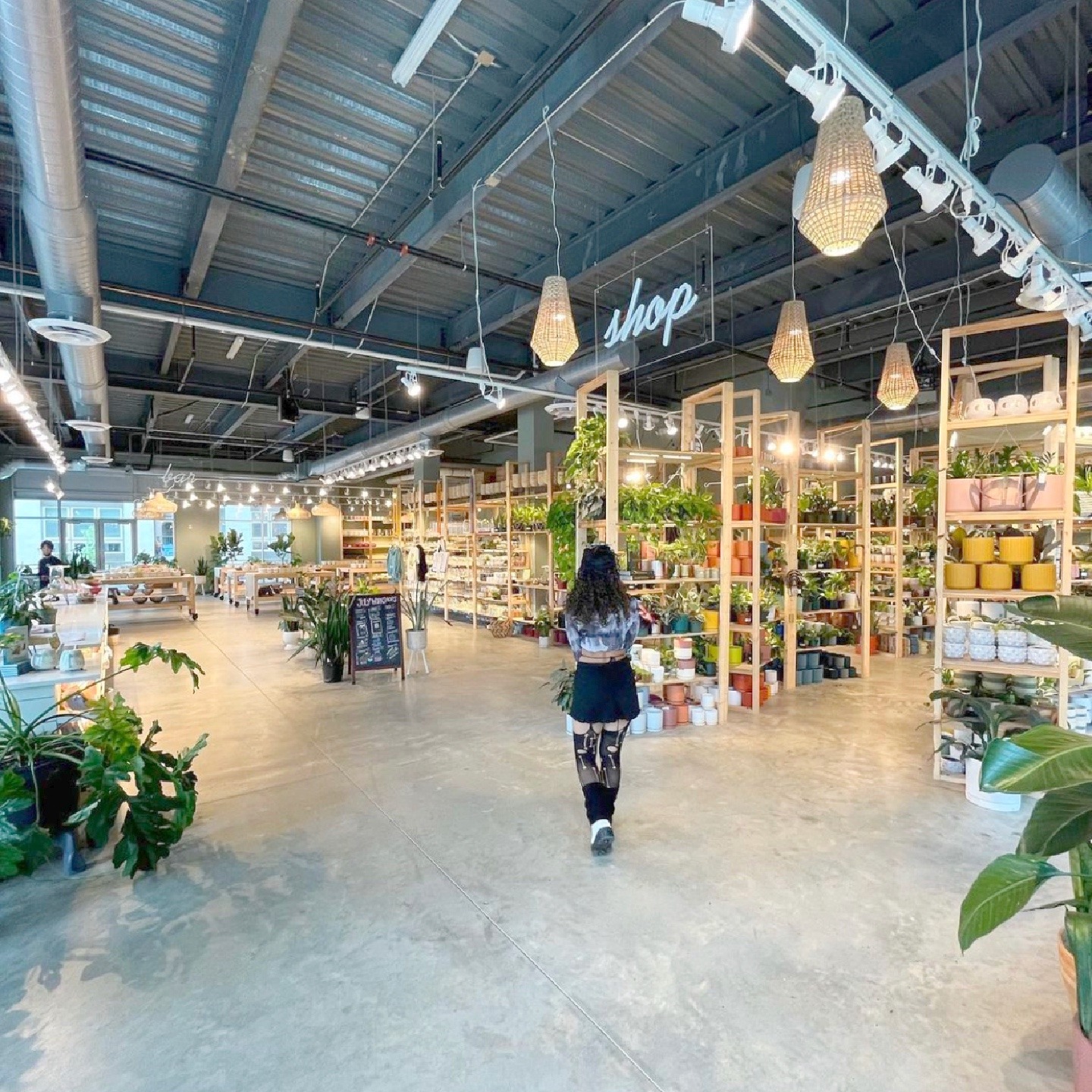 Plant House's shop interior full of houseplants and planters