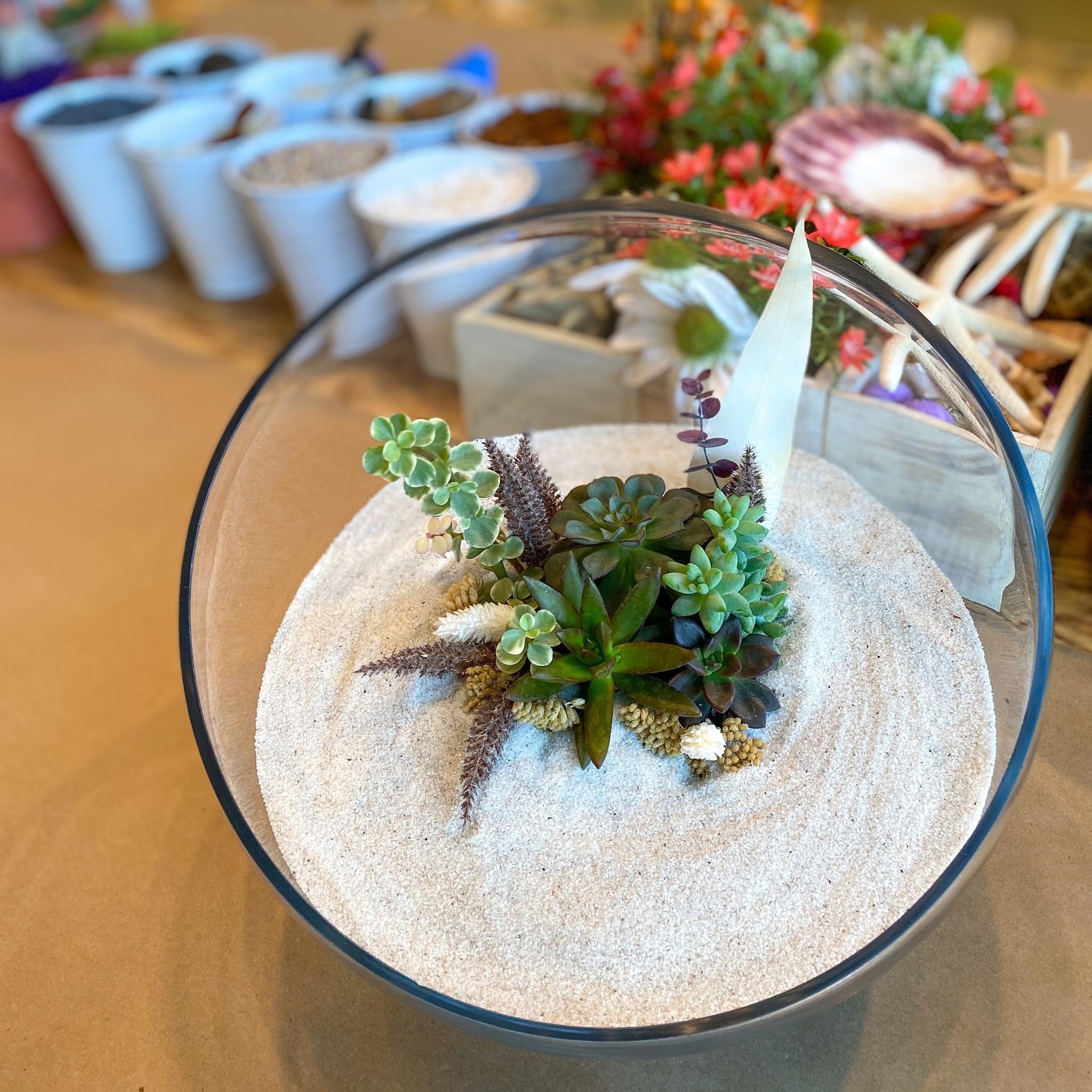 Terrarium at Plant House