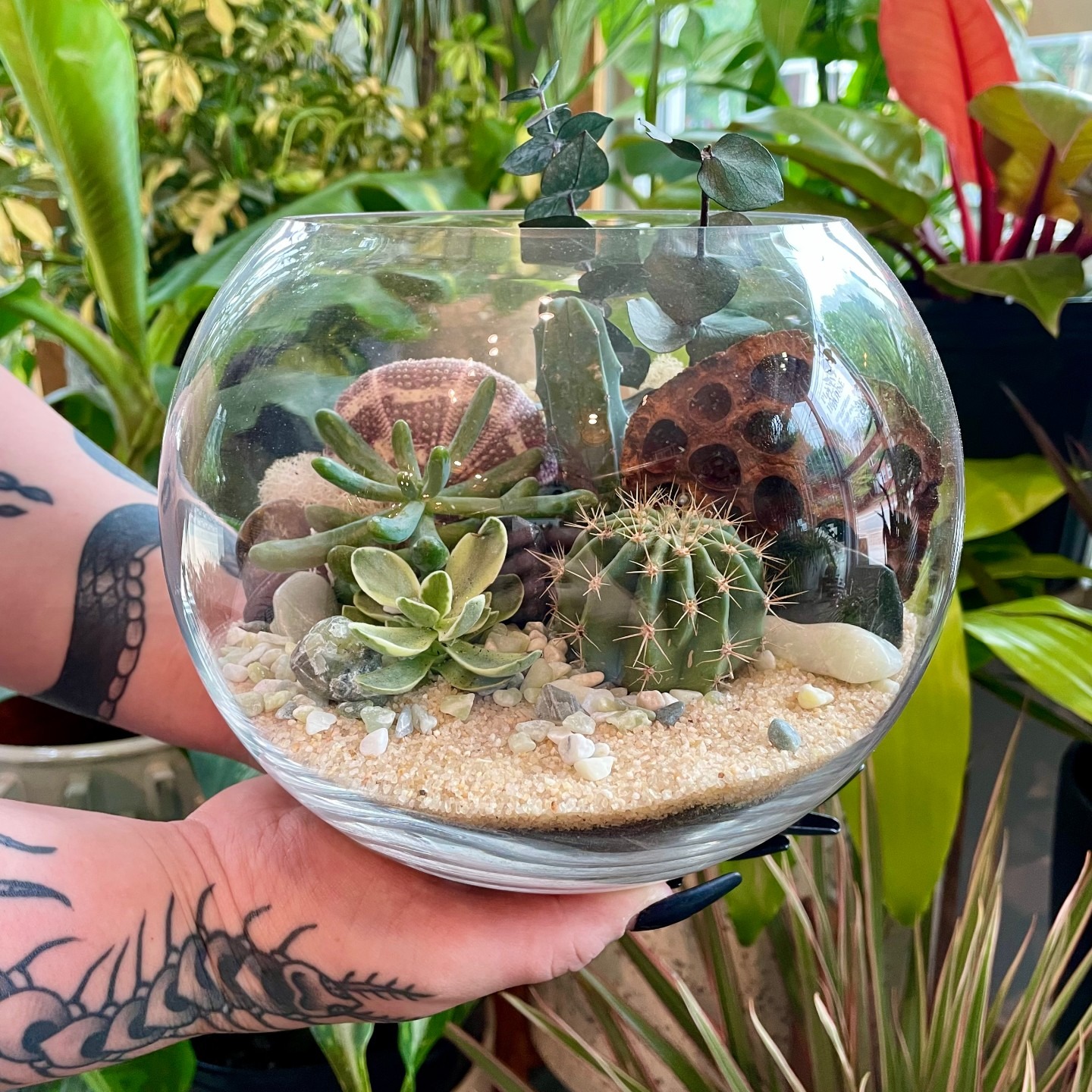 Terrarium at Plant House